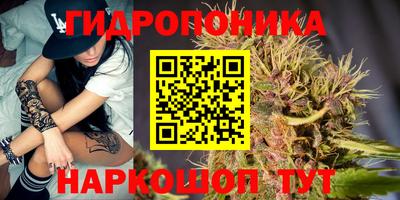 стаф Рязань