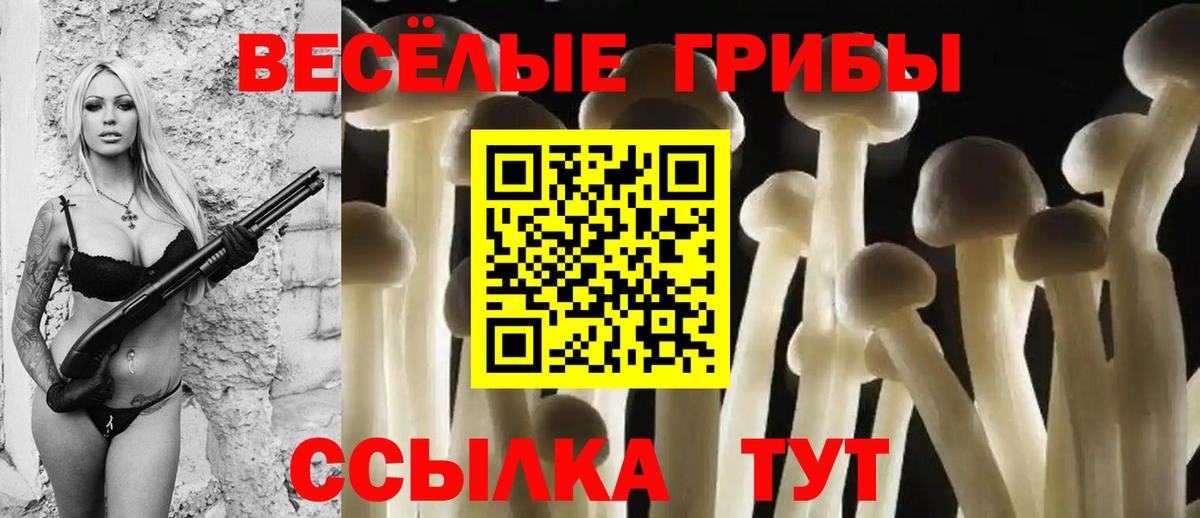 Отрадное  Галлюциногенные грибы ЛСД  Вход с VPN 
